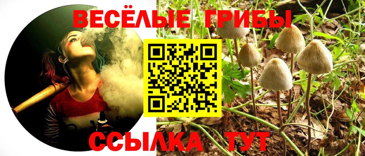 Псилоцибиновые грибы мицелий  Галлюциногенные грибы прущие грибы  Вход с VPN  Павловский Посад 