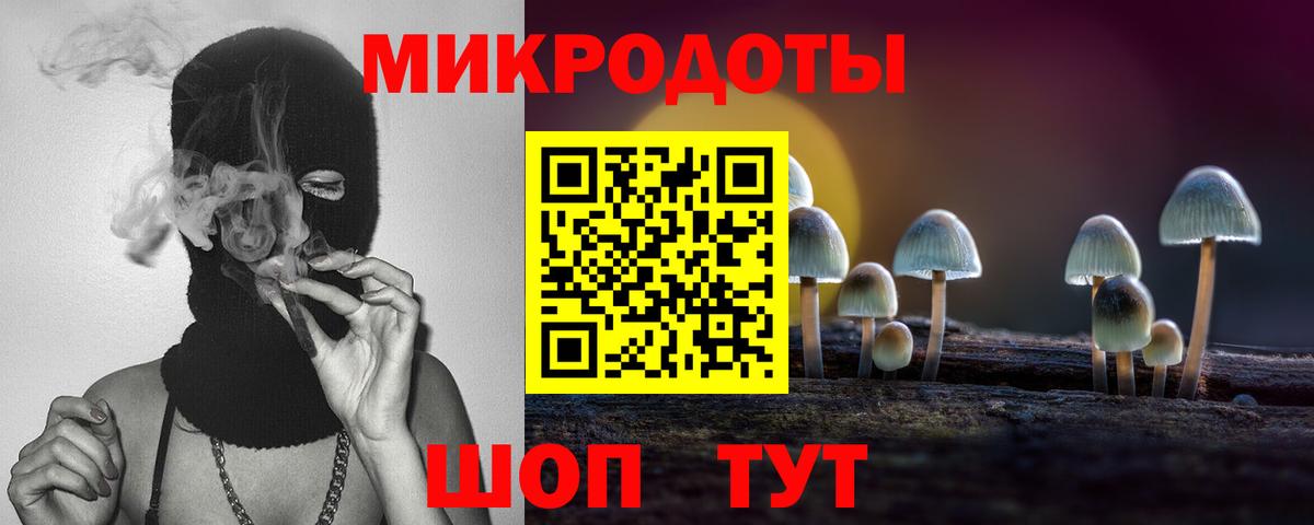 Псилоцибиновые грибы мицелий Павловский Посад